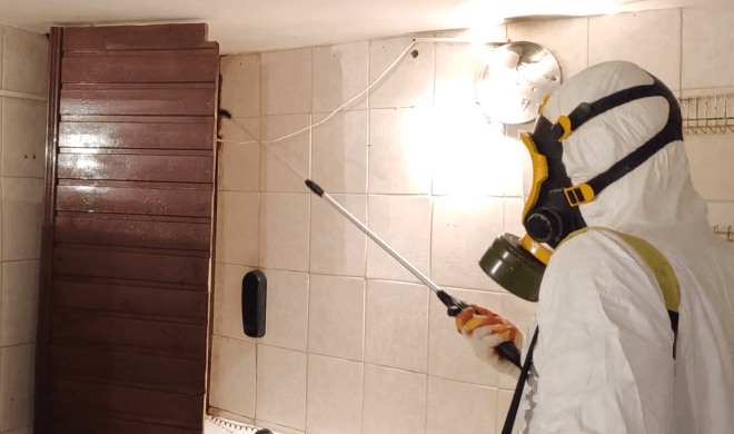 Мастер проводит дезинсекцию помещения